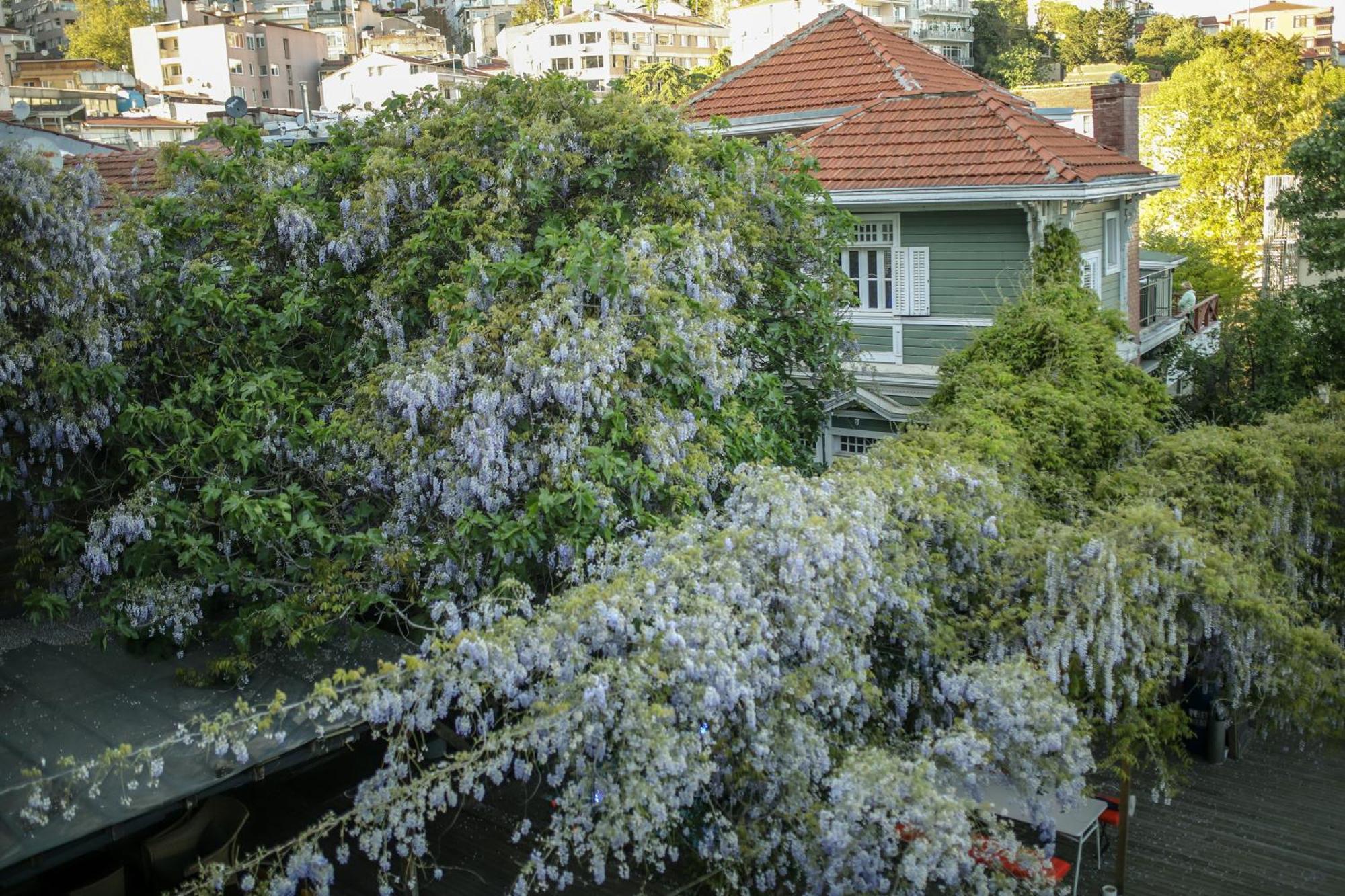 Loop Hotel Bosphorus Istanbul Exterior photo